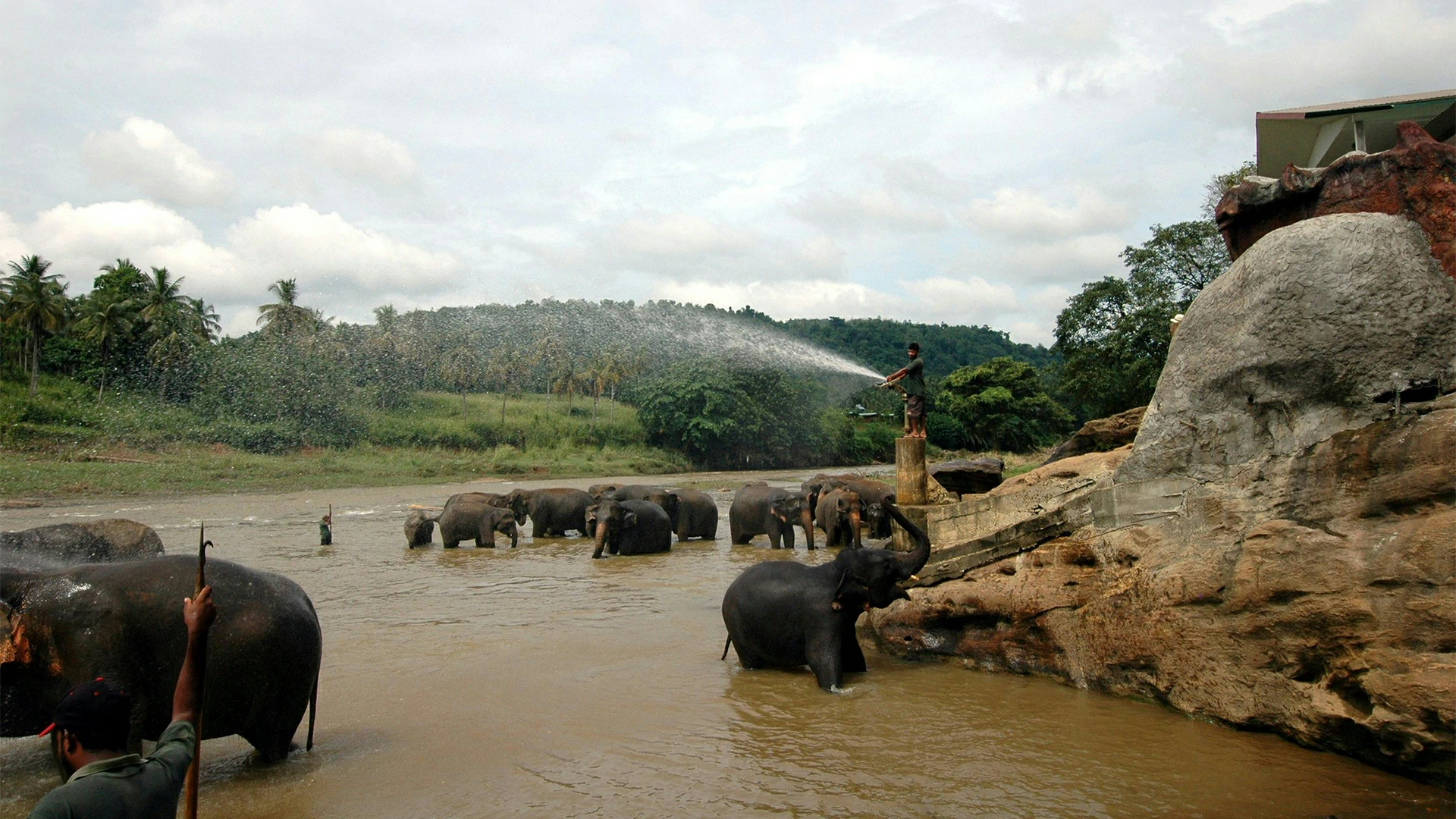 Pinnawala Elephant Zoo